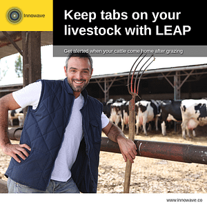 Improving Farming: Keep tabs on your livestock with LEAP