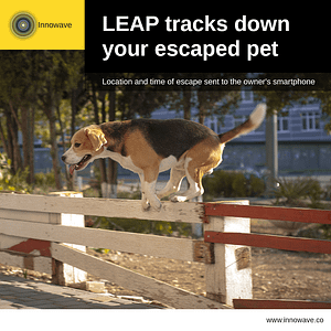 Pet Care: LEAP tracks down your escaped pet