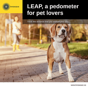 Pet Care: LEAP, a pedometer for pet lovers