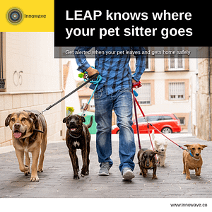 Pet Care: LEAP knows where your pet sitter goes
